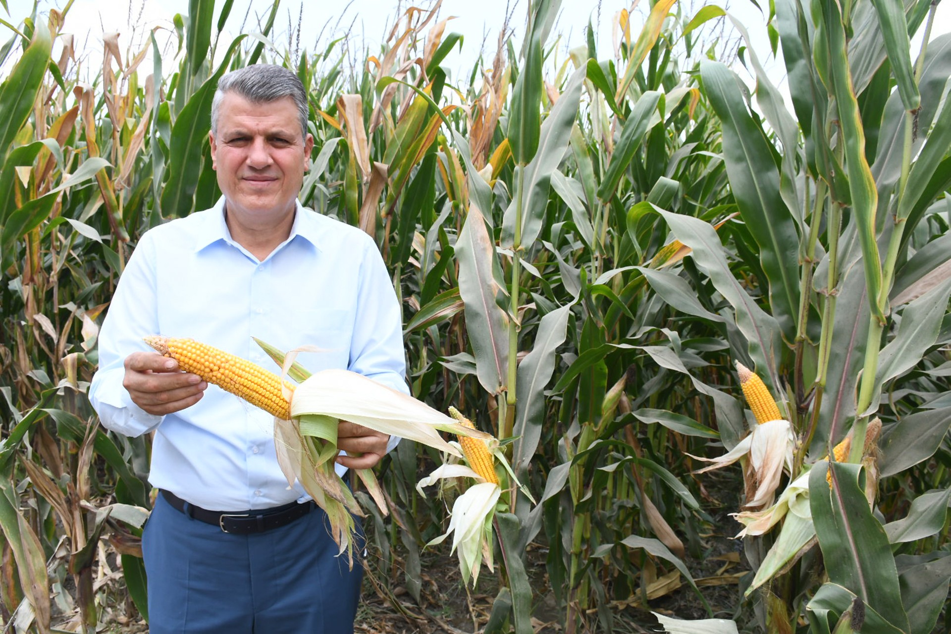 CHP Adana Milletvekili Ayhan Barut