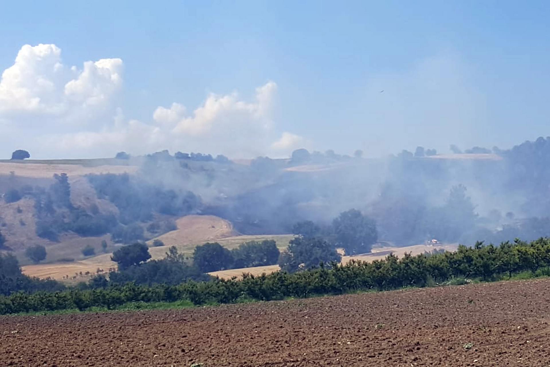 Çanakkale'de orman yangını