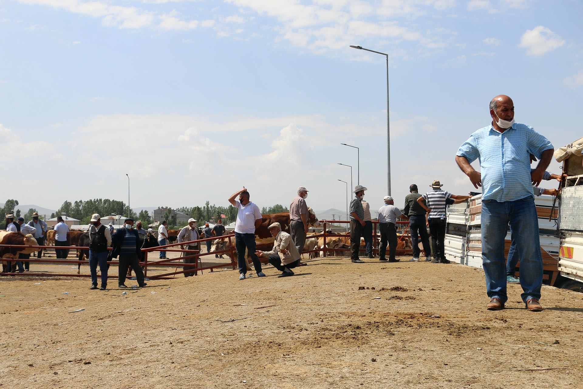 Van kurban pazarında hayvan ve besiciler