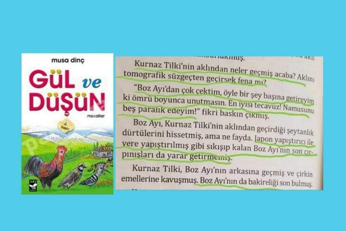 Musa Dinç'in Gül ve Düşün adlı kitabının kapağı ve tecavüzü anlattığı kısmın ekran görüntüsü.