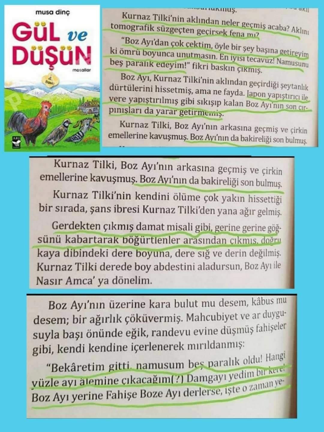 Musa Dinç'in Gül ve Düşün adlı kitabının kapağı ve tecavüzü anlattığı kısmın ekran görüntüsü.