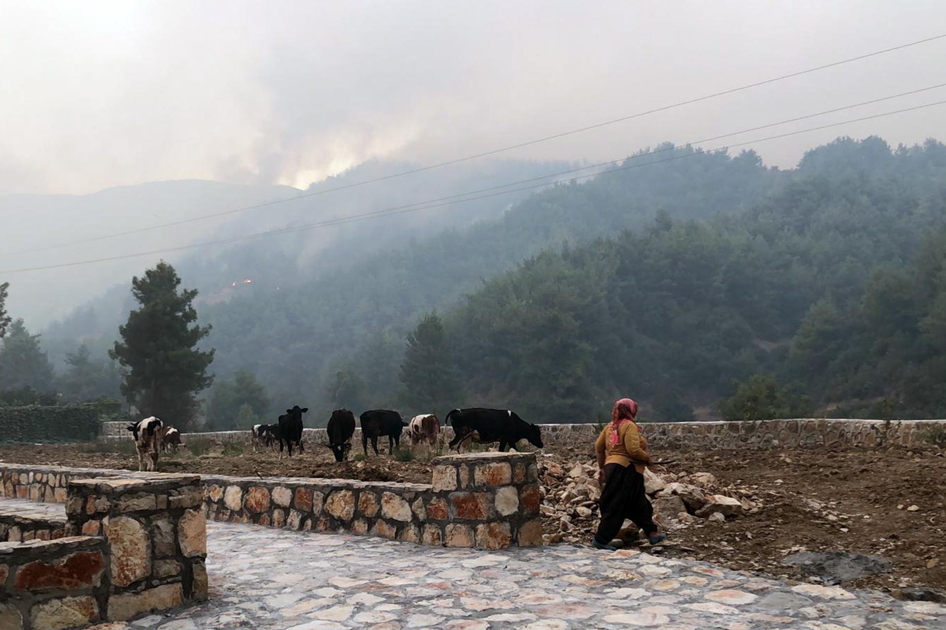 Hatay'da orman yangını