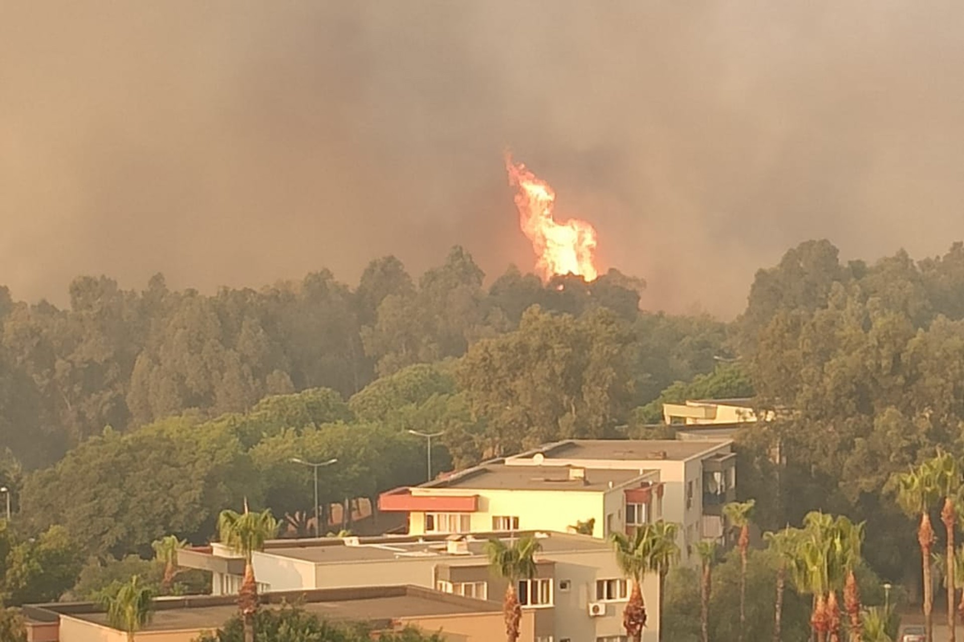 İskenderun Demir Çelik AŞ lojmanlarının bulunduğu binada yangın çıktı.