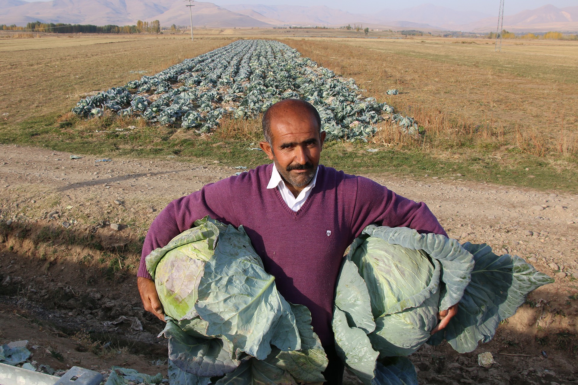 Lahana üreticisi Bayram Yiğit.