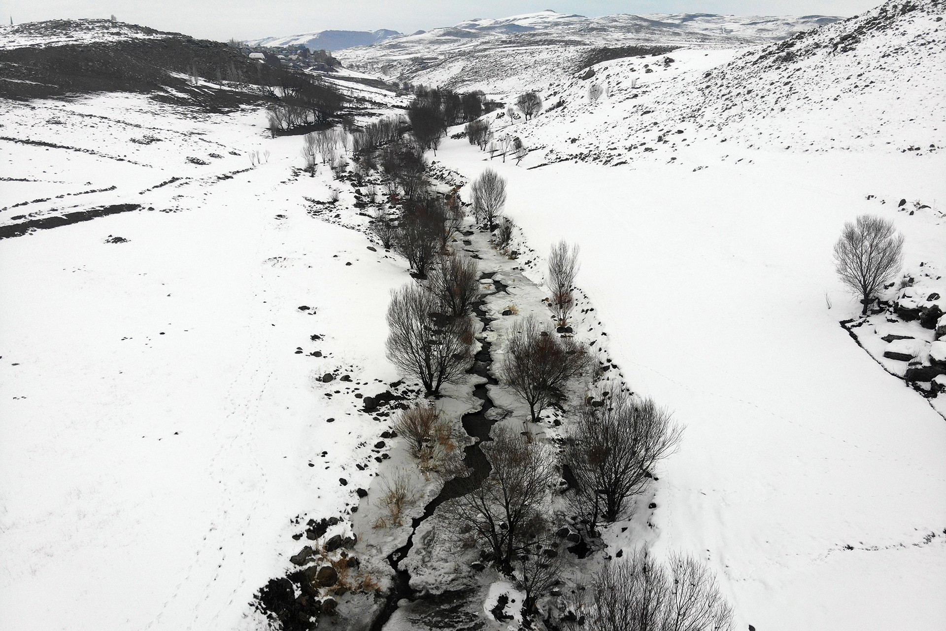 soğuk nedeniyle don yaşandı