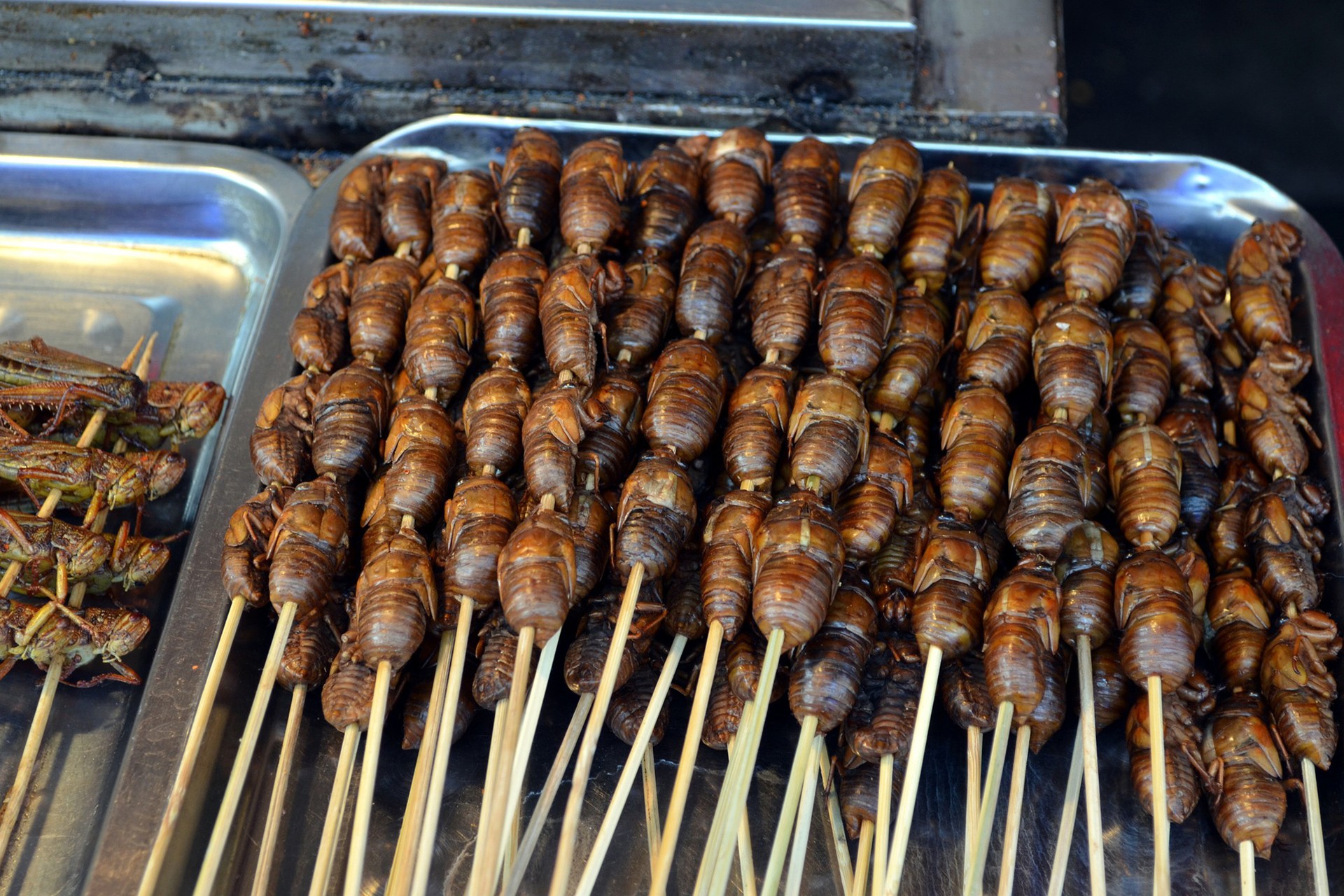 böcek kullanılarak yapılan bir yemek