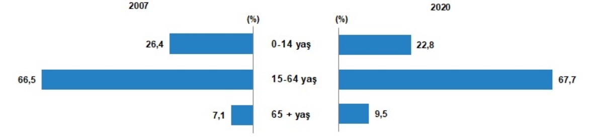 Yaş gruplarına göre nüfus oranı, 2007, 2020