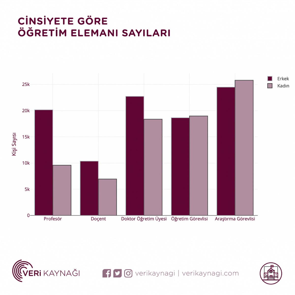 Cinsiyete göre öğretim elemanı sayıları grafiği