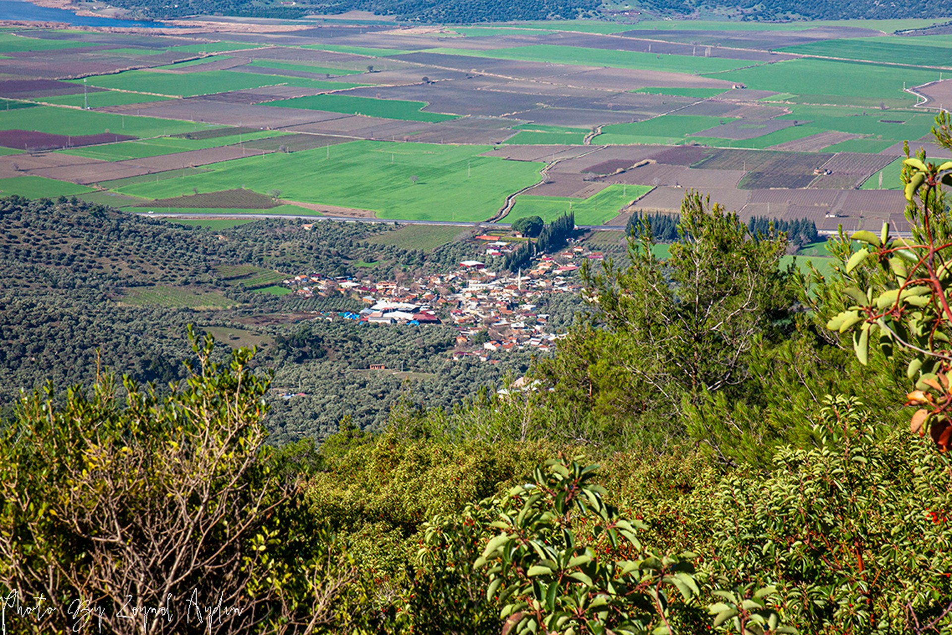 Küçük Menderes Ovası