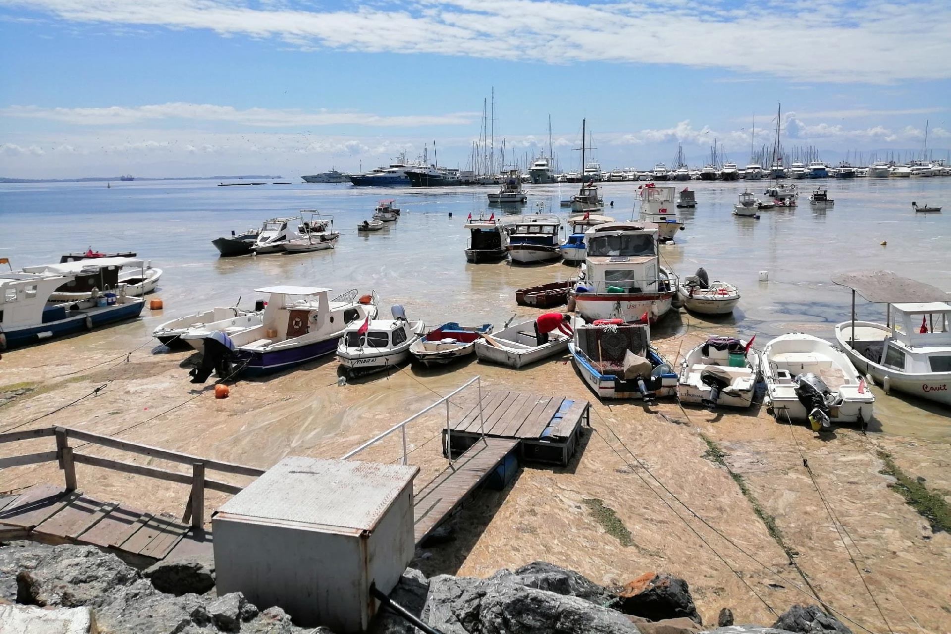 Marmara Denizi yüzeyini kaplayan deniz salyası