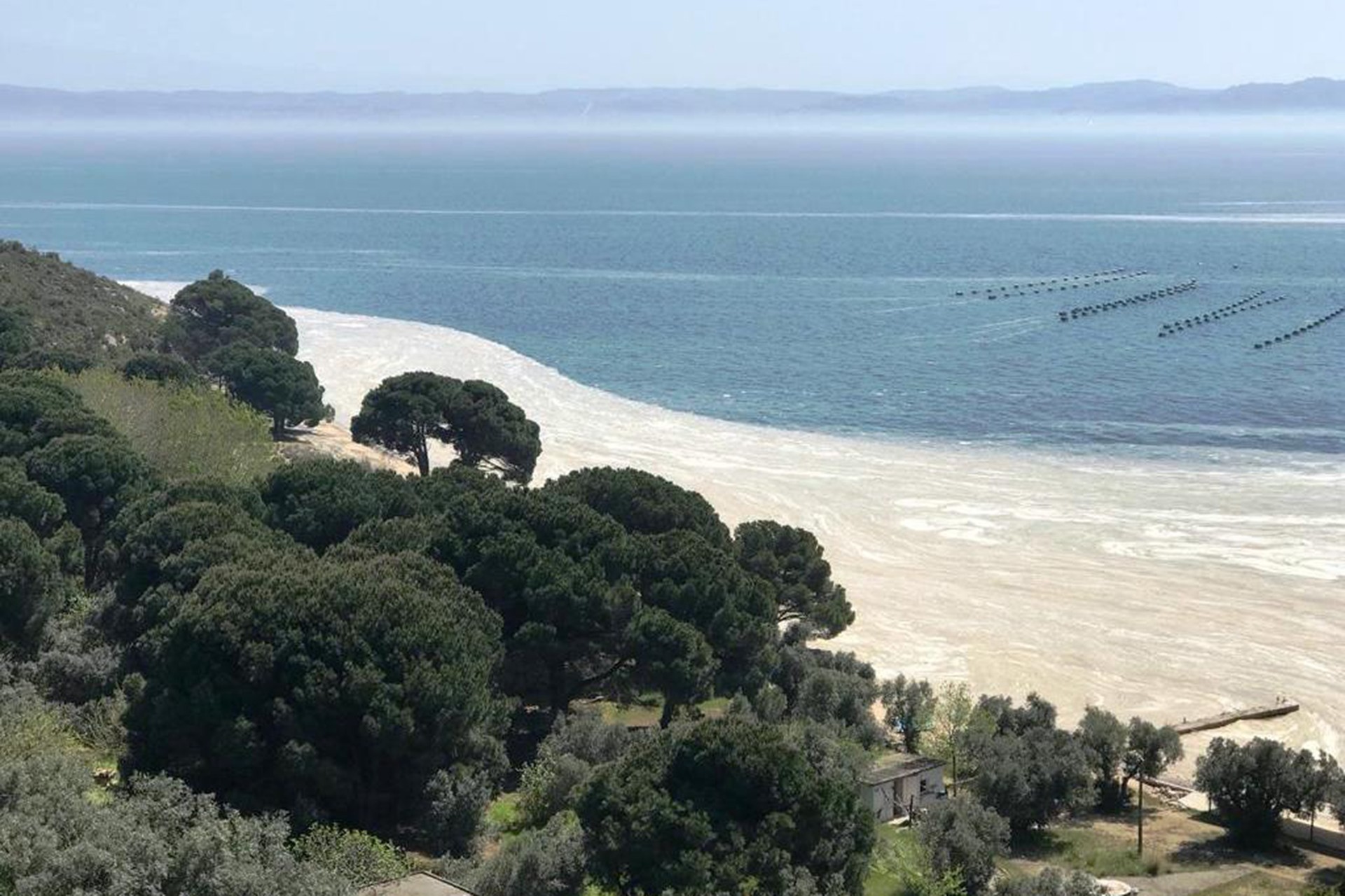 Gemlik-Armutlu arasındaki bölgede kıyıya vuran kirlilik