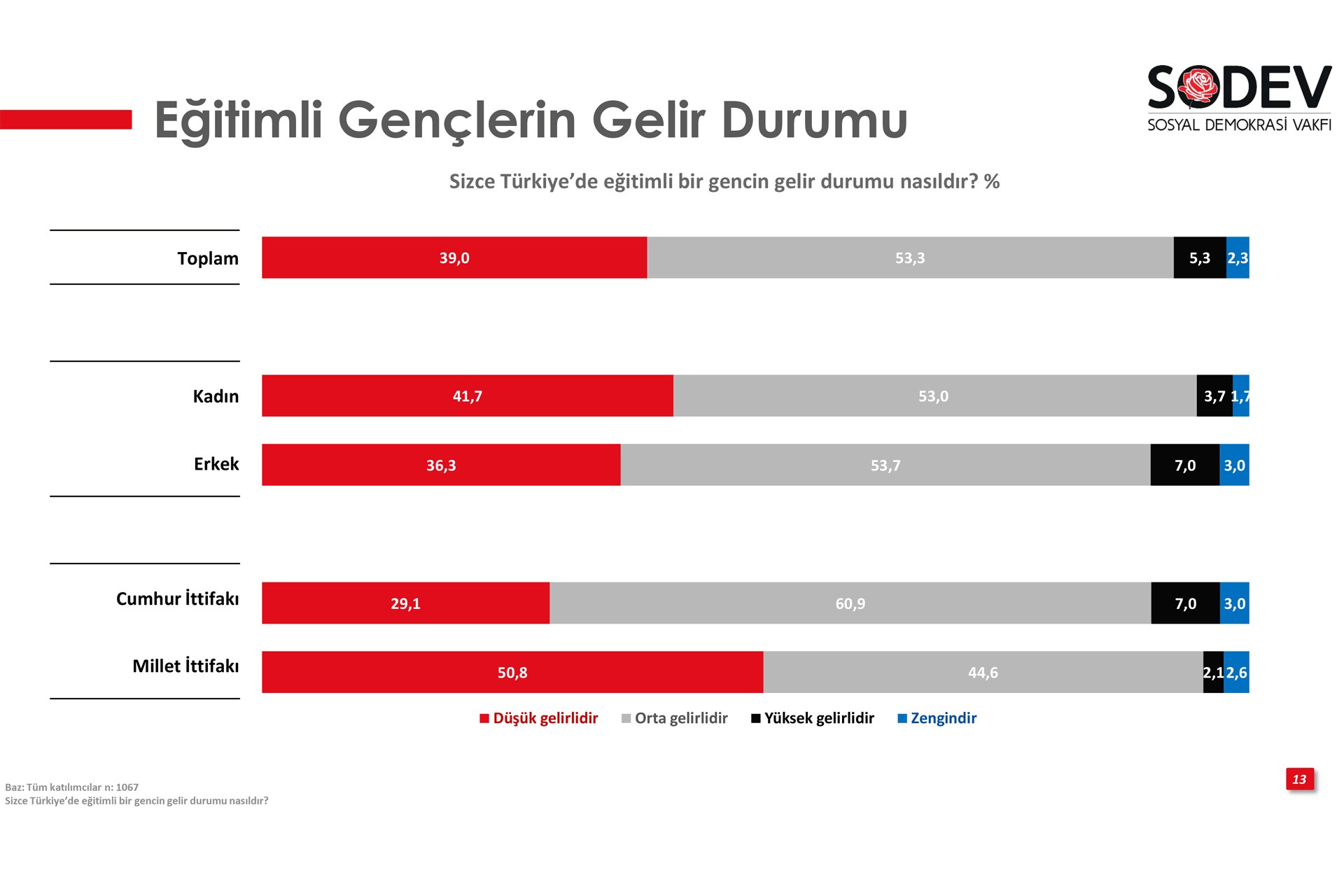 SODEV'in 'Gençlik Araştırması Raporu'ndan alınan grafik.