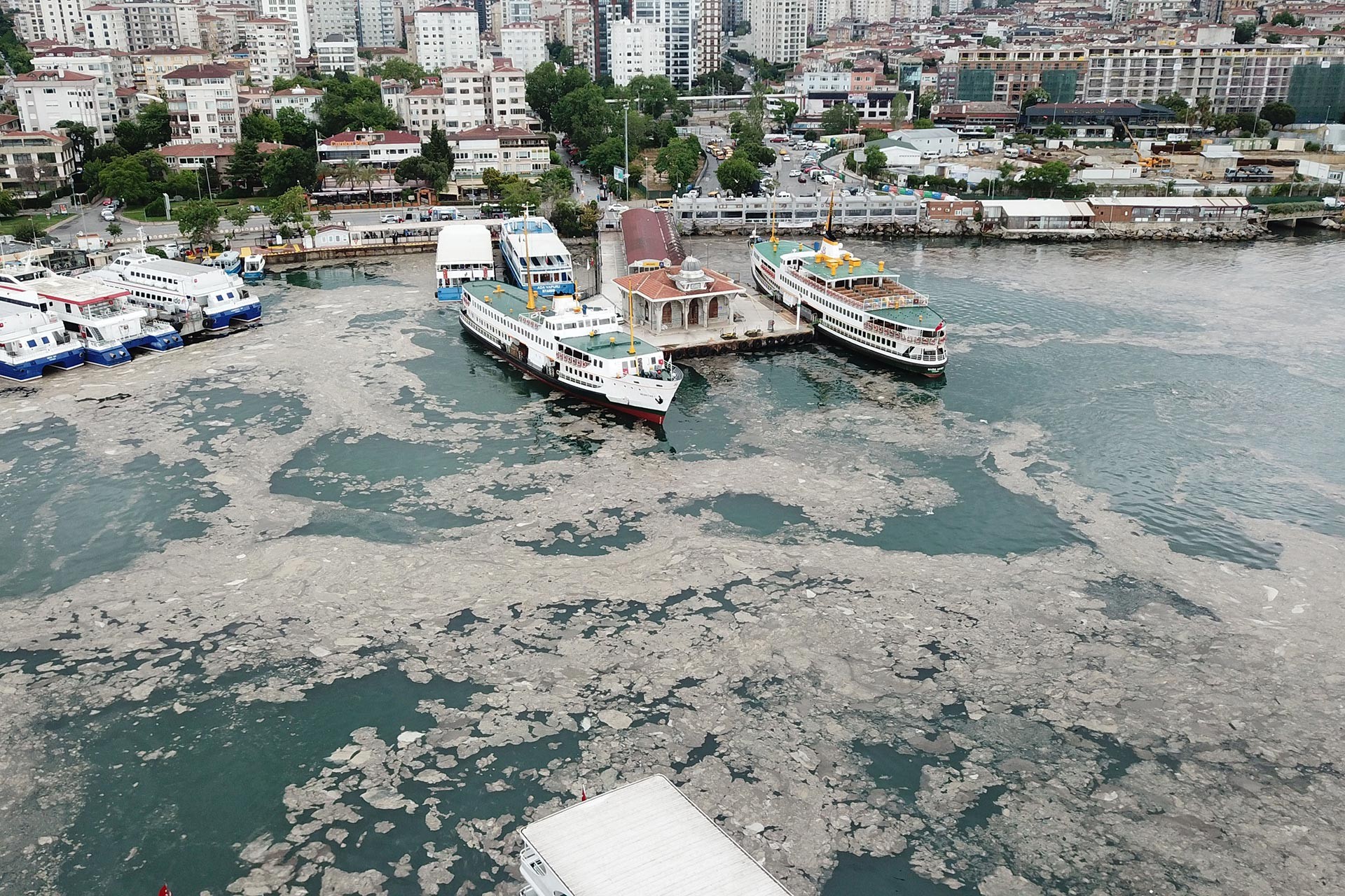 Bostancı sahilini saran deniz salyası