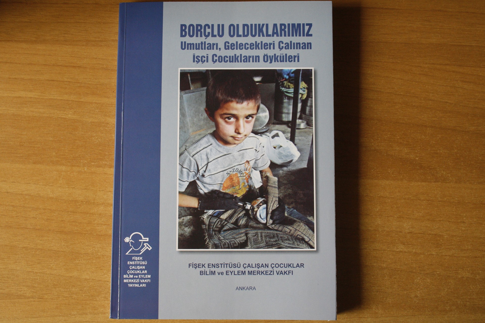 Borçlu Olduklarımız Umutları, Gelecekleri Çalınan İşçi Çocukların Öyküleri kitap kapağı