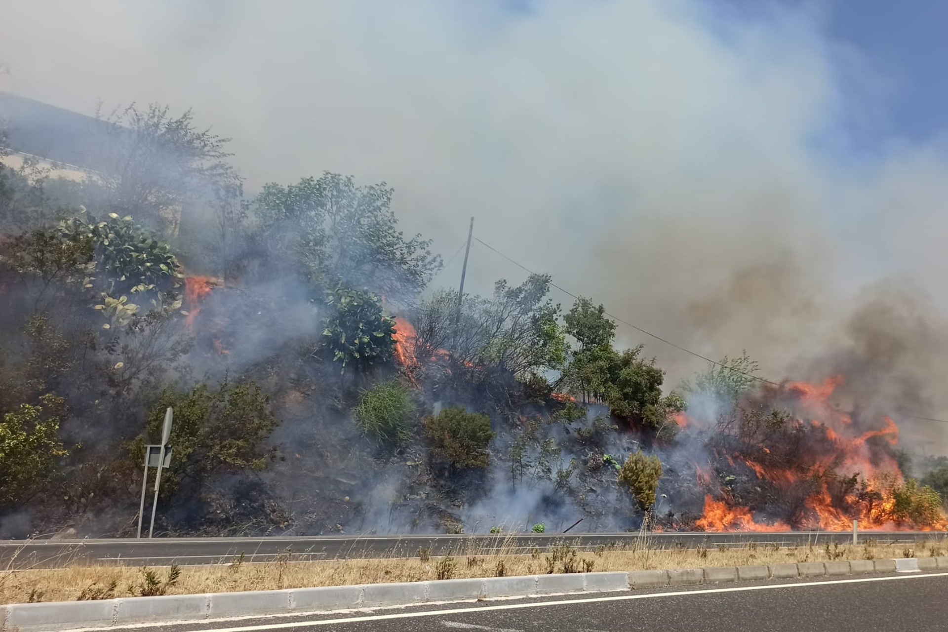 Muğla'da yangın