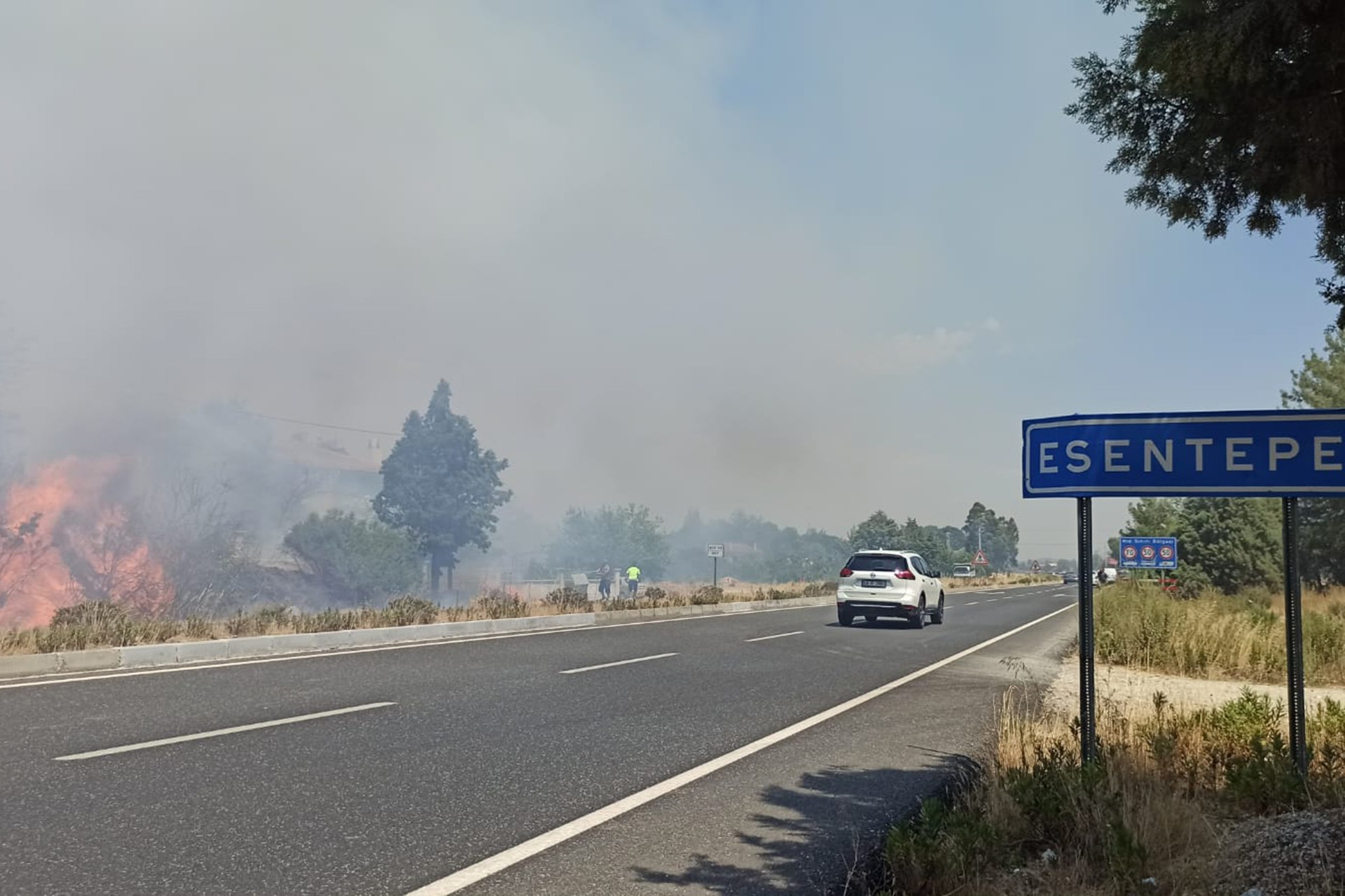 Muğla'da yangın