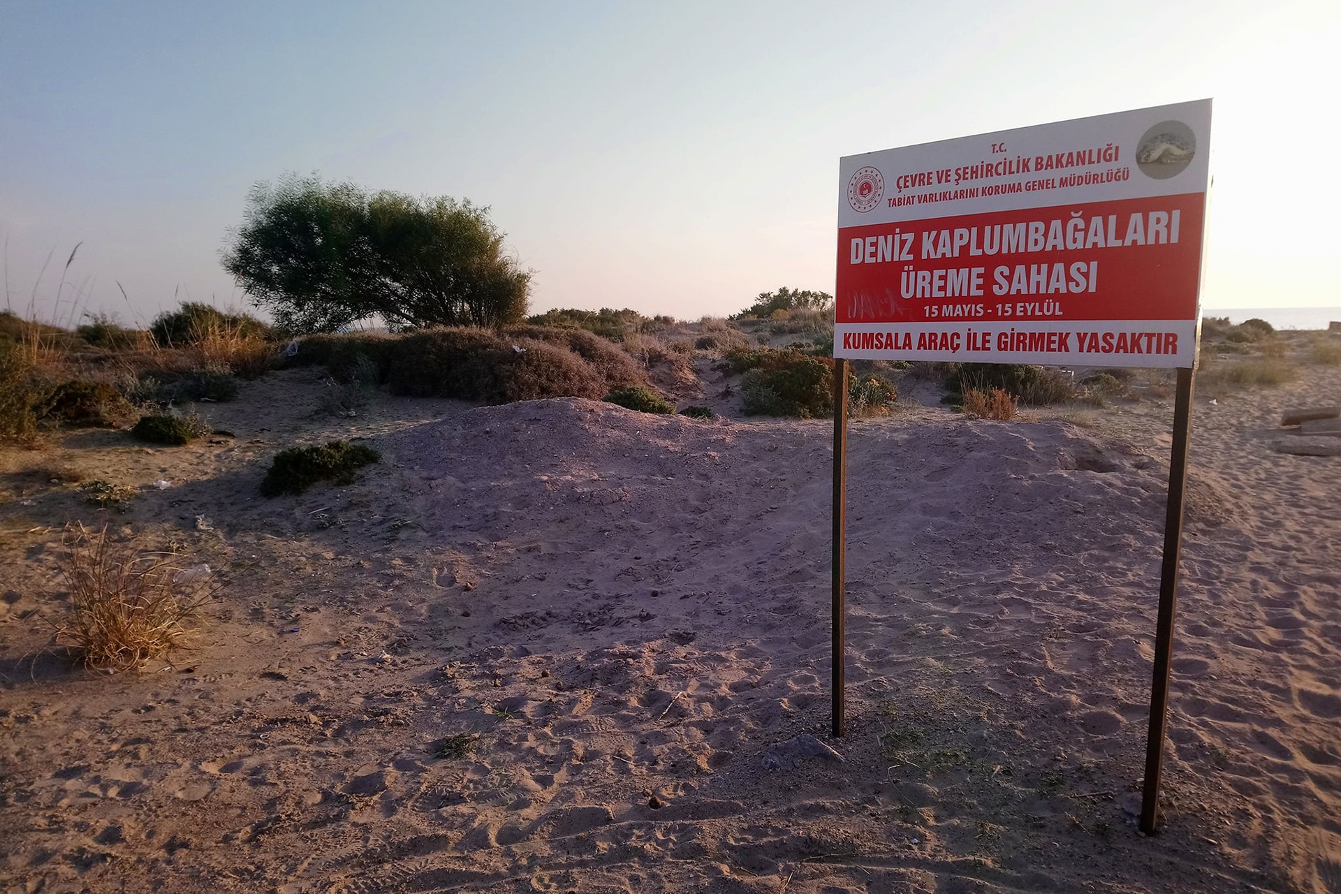 Kumsal ve deniz kaplumbağalarının üreme sahası olduğunu gösteren tabela