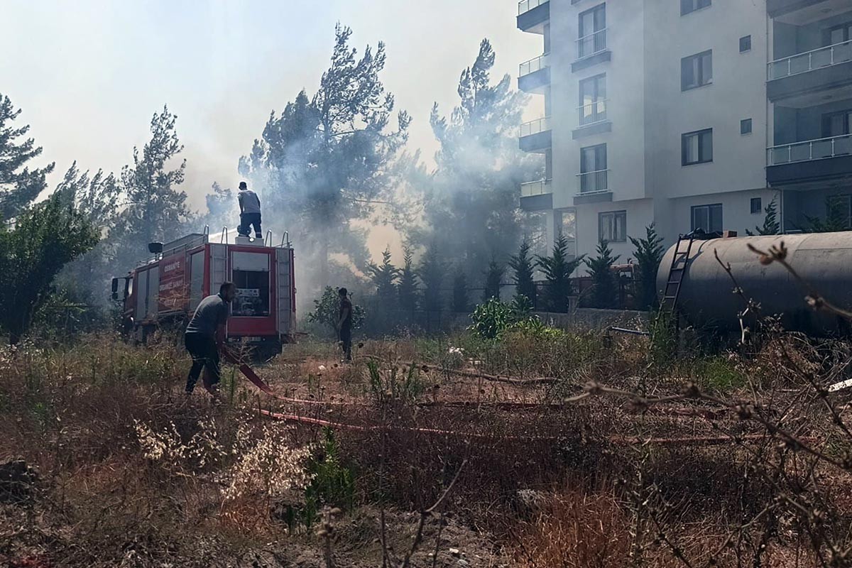 Osmaniye'de orman yangını