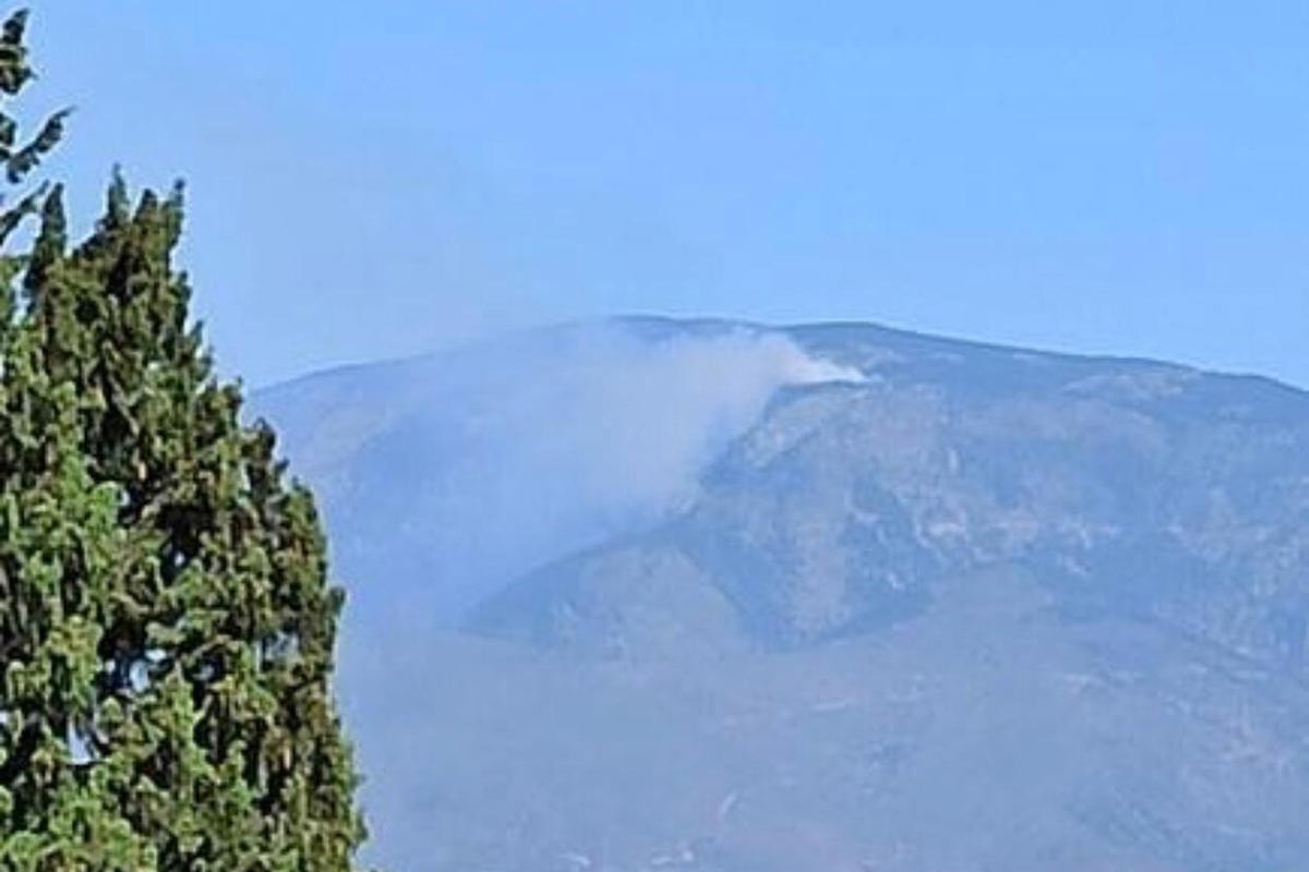 Hatay'da orman yangını