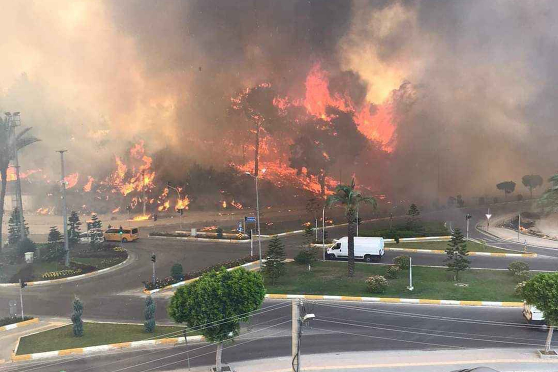 Manavgat'ta yangından etkilenen bir bölge