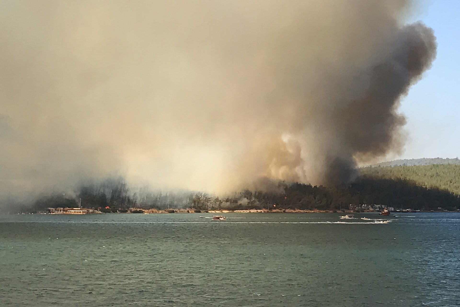 Muğla'nın Milas ilçesinde ormanlık alanda çıkan yangın.