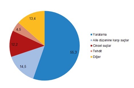 TÜİK grafiği 