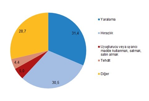 TÜİK grafiği 