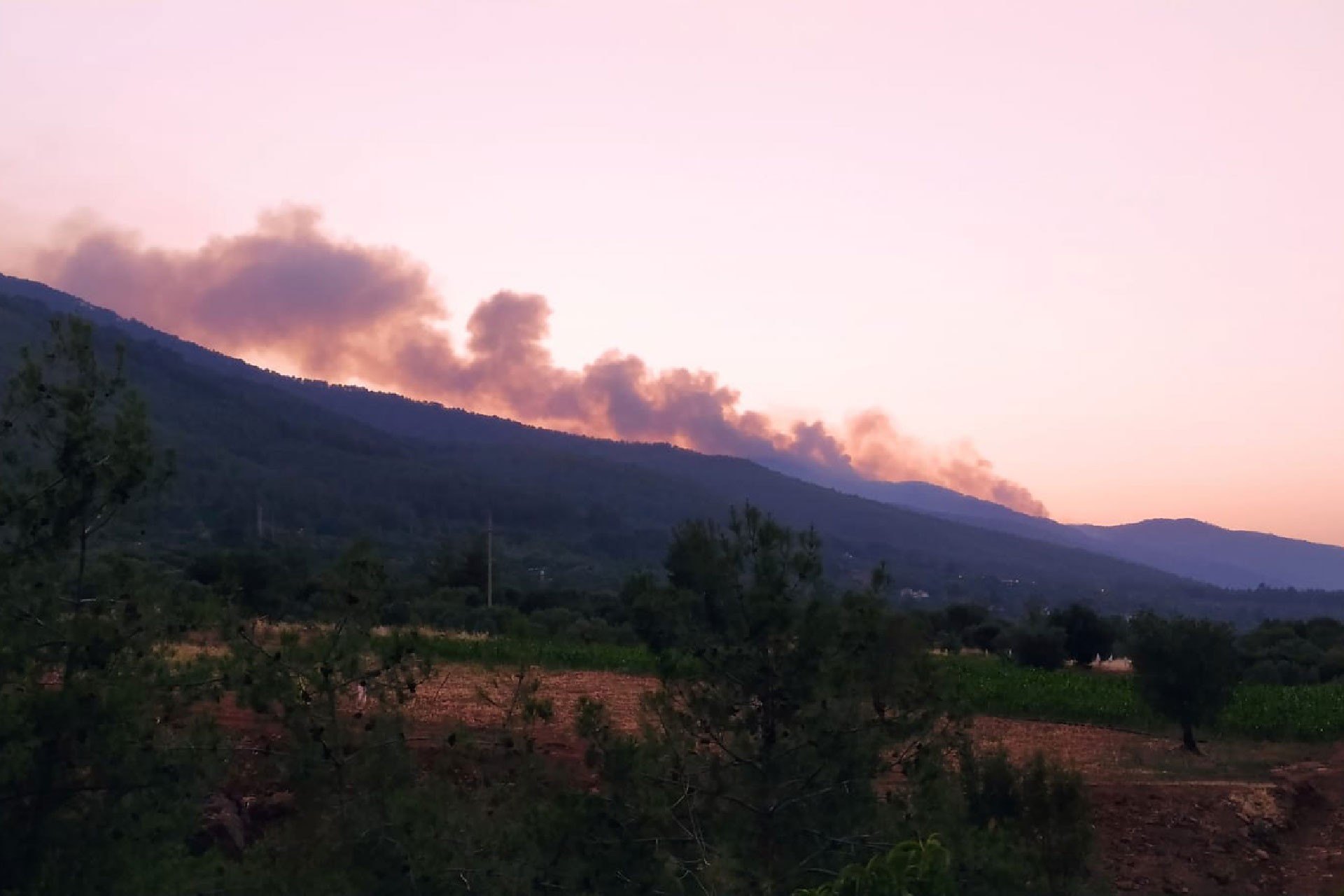 Aydın'ın Karacasu ilçesindeki orman yangını 