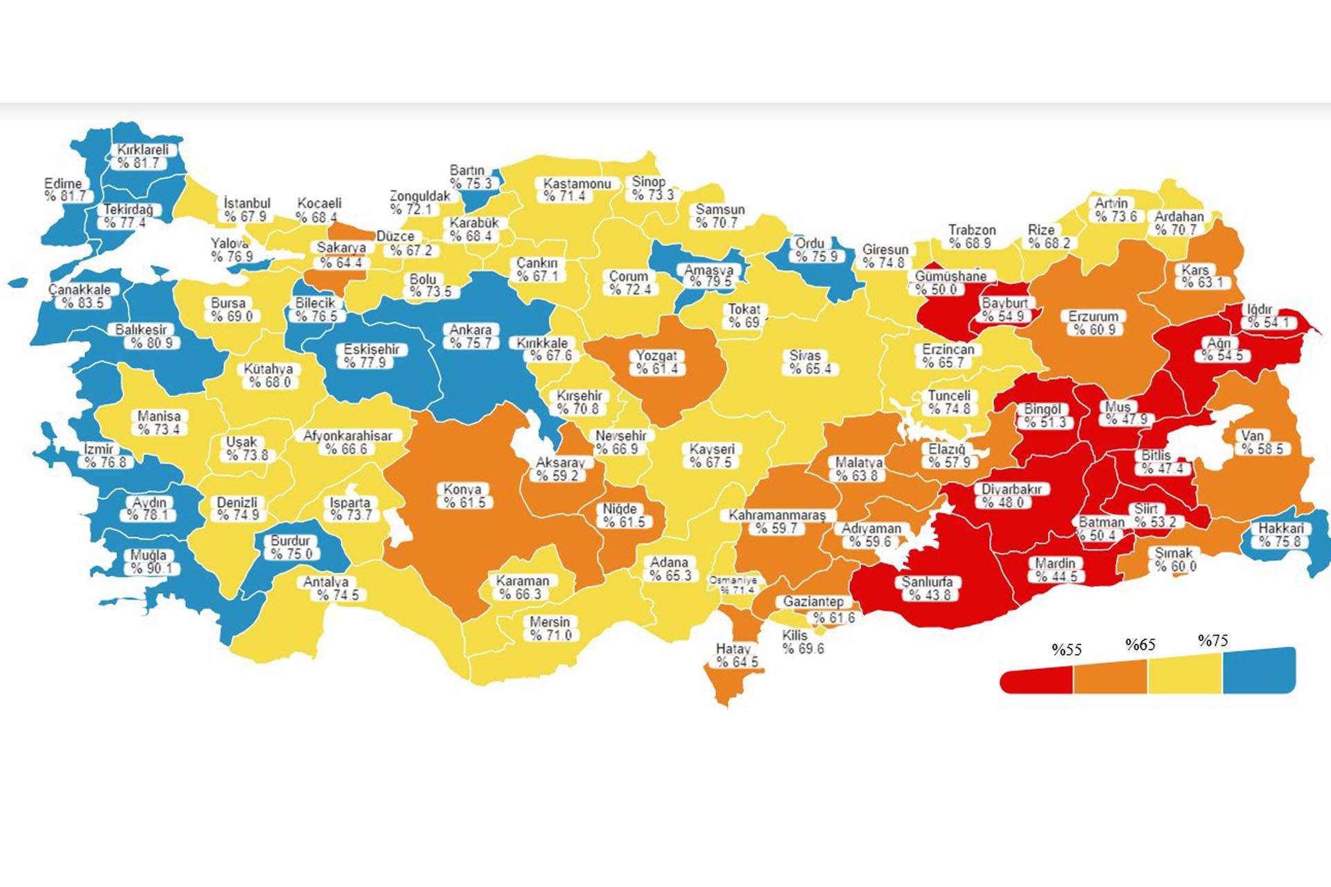 Koronavirüs verileri