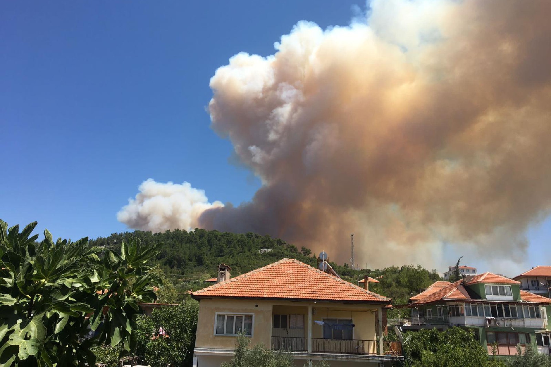 Burdur'un Bucak'ta orman yangını 