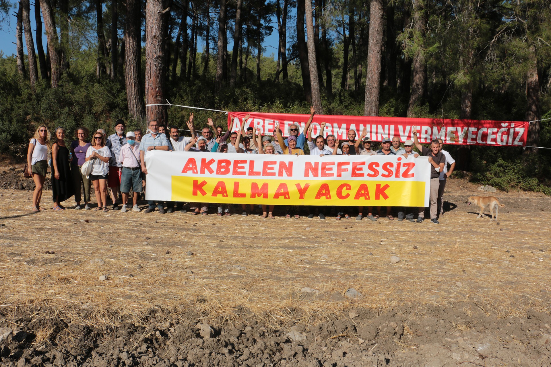 İzmir Barosu'ndan "Akbelen davası" hakimine: Haddinizi bilin!