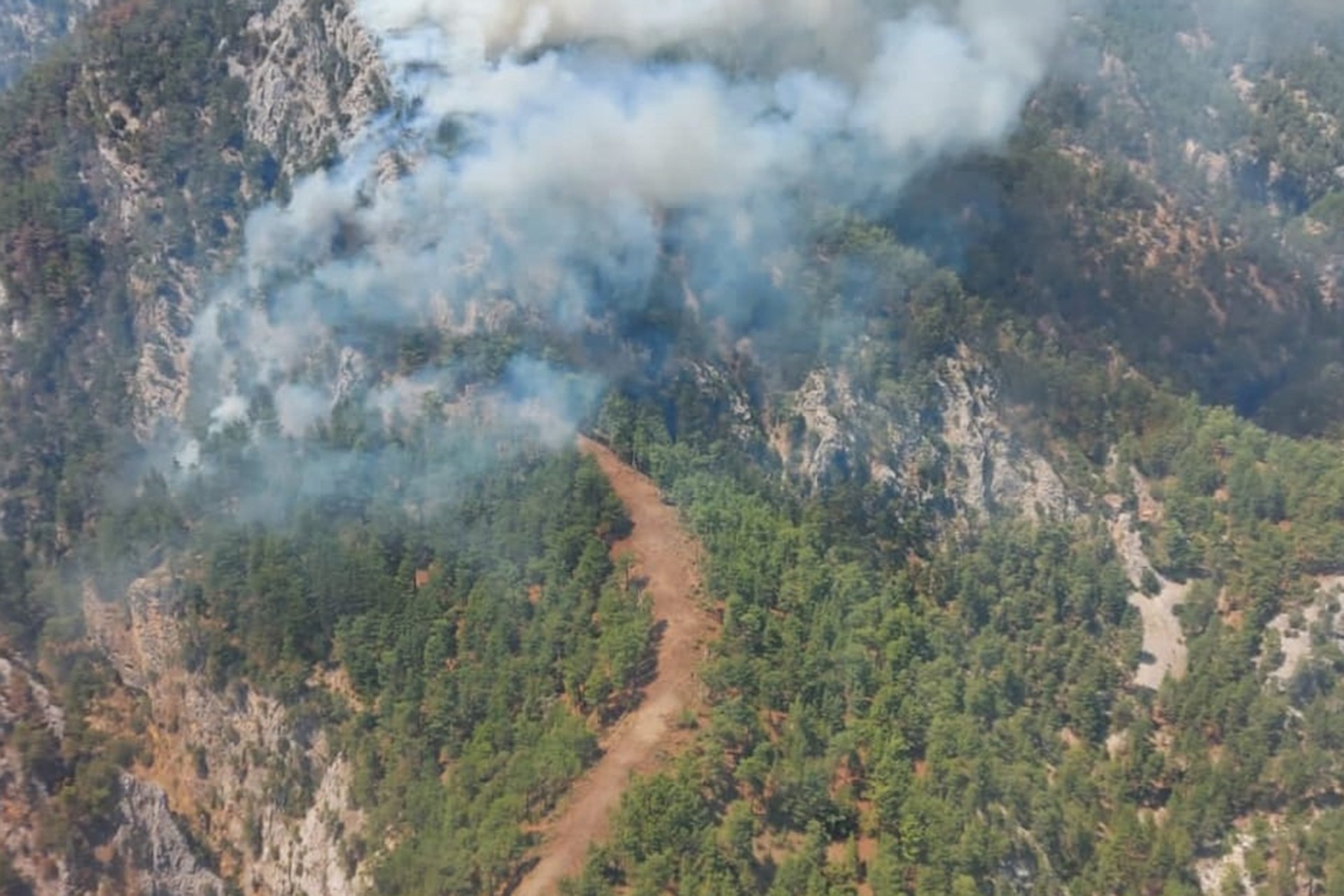 Muğla'nın Köyceğiz ilçesinde çıkan orman yangını