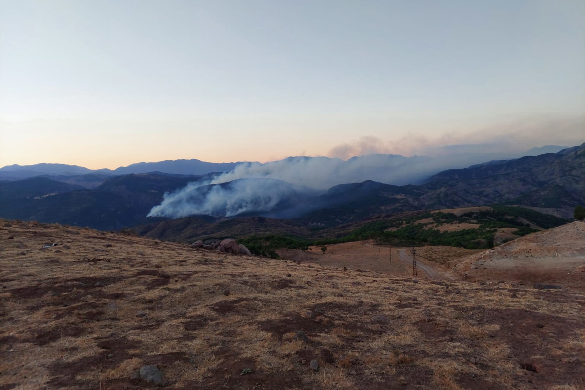 Dersim'de orman yangın