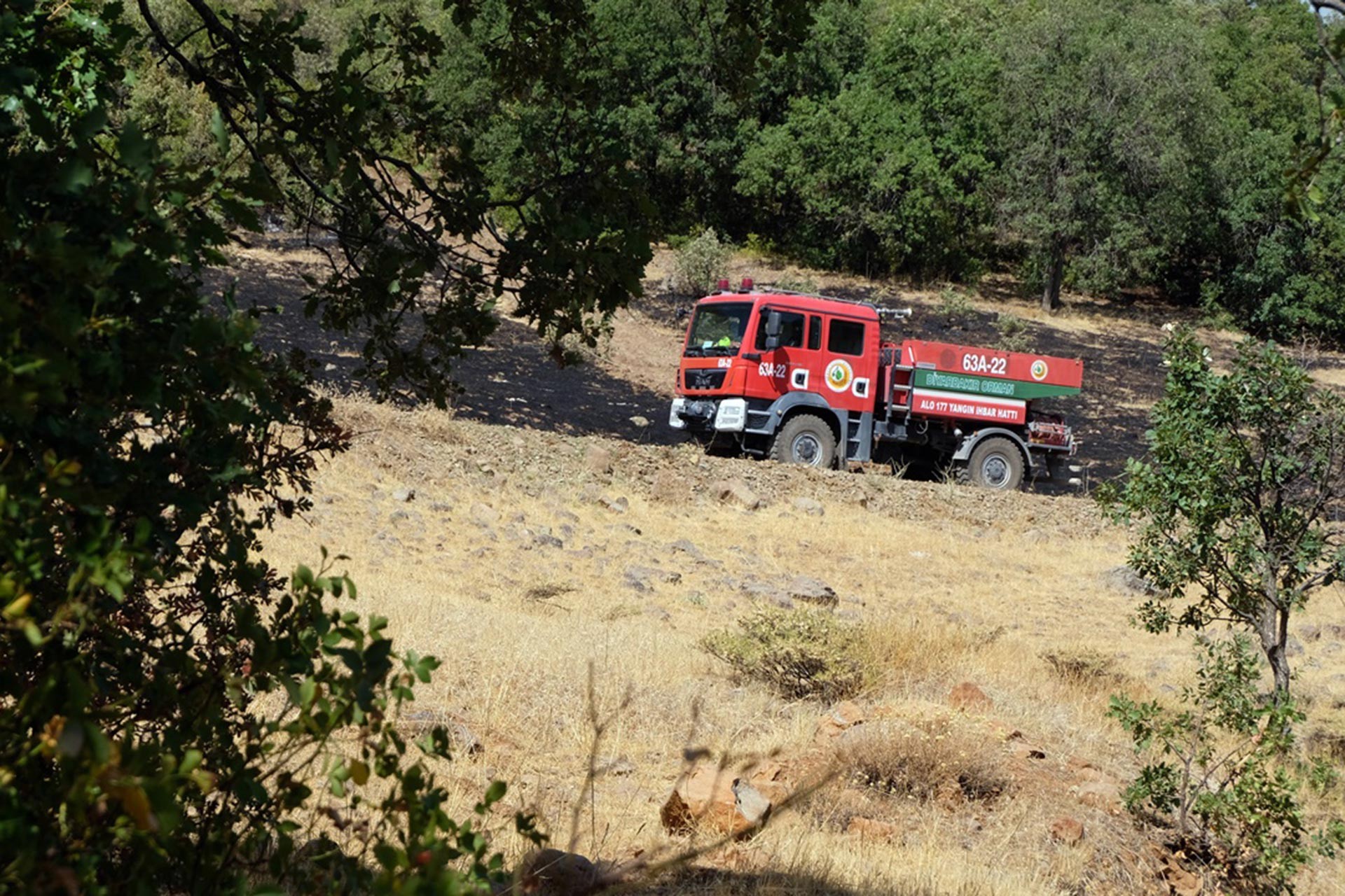 Bingöl'de orman yangınının olduğu bölgeden bir fotoğraf.