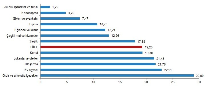 TÜFE ana harcama gruplarına göre yıllık değişim oranları (%), Ağustos 2021