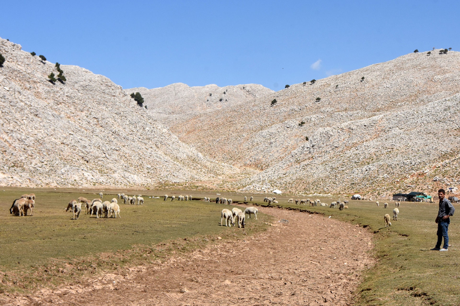 Şubaşı Yaylası'ndaki İkiz Göller tamamen kurudu