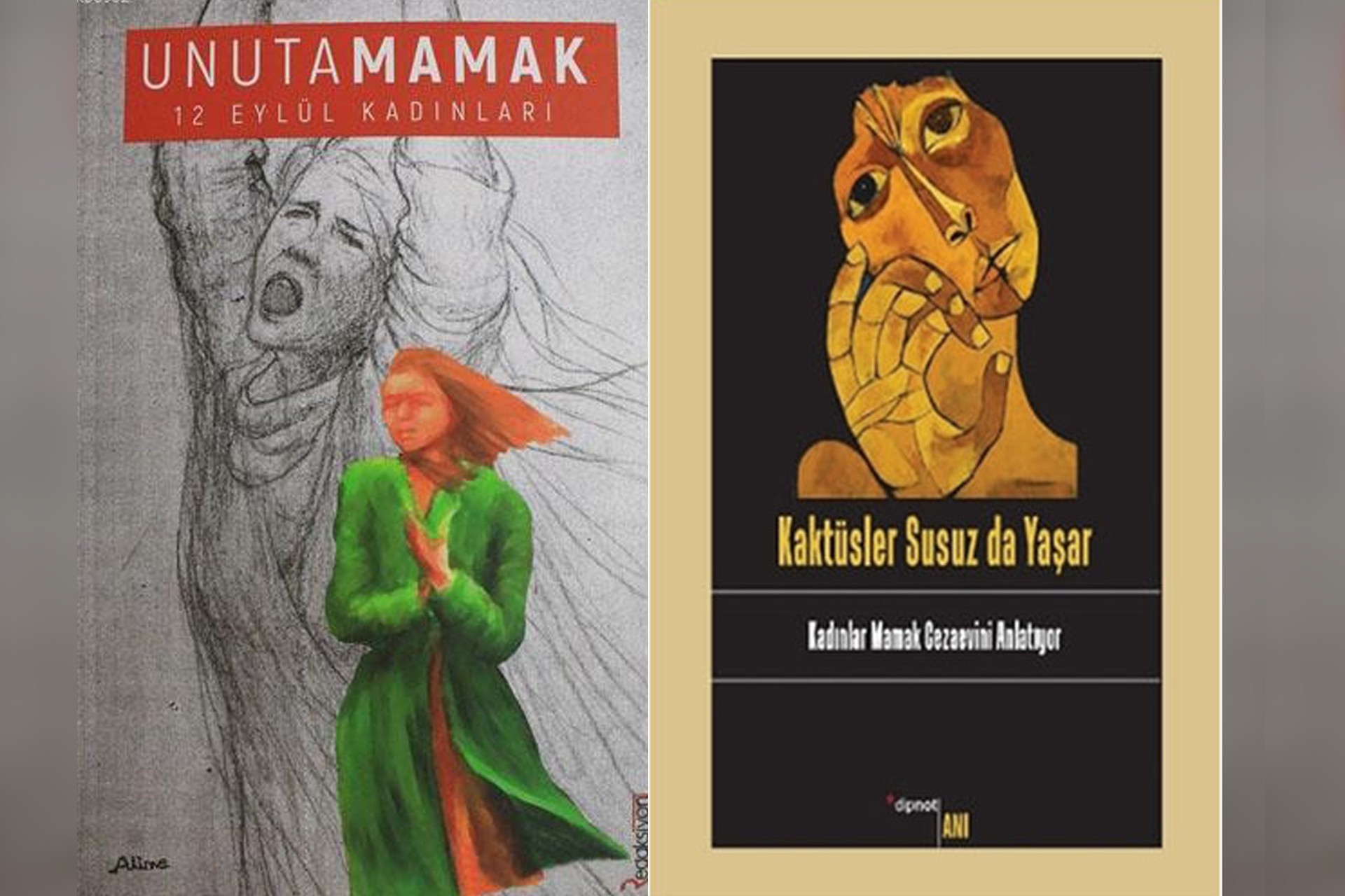 Unutamamak ve Kaktüsler susuz da yaşar kitap görselleri