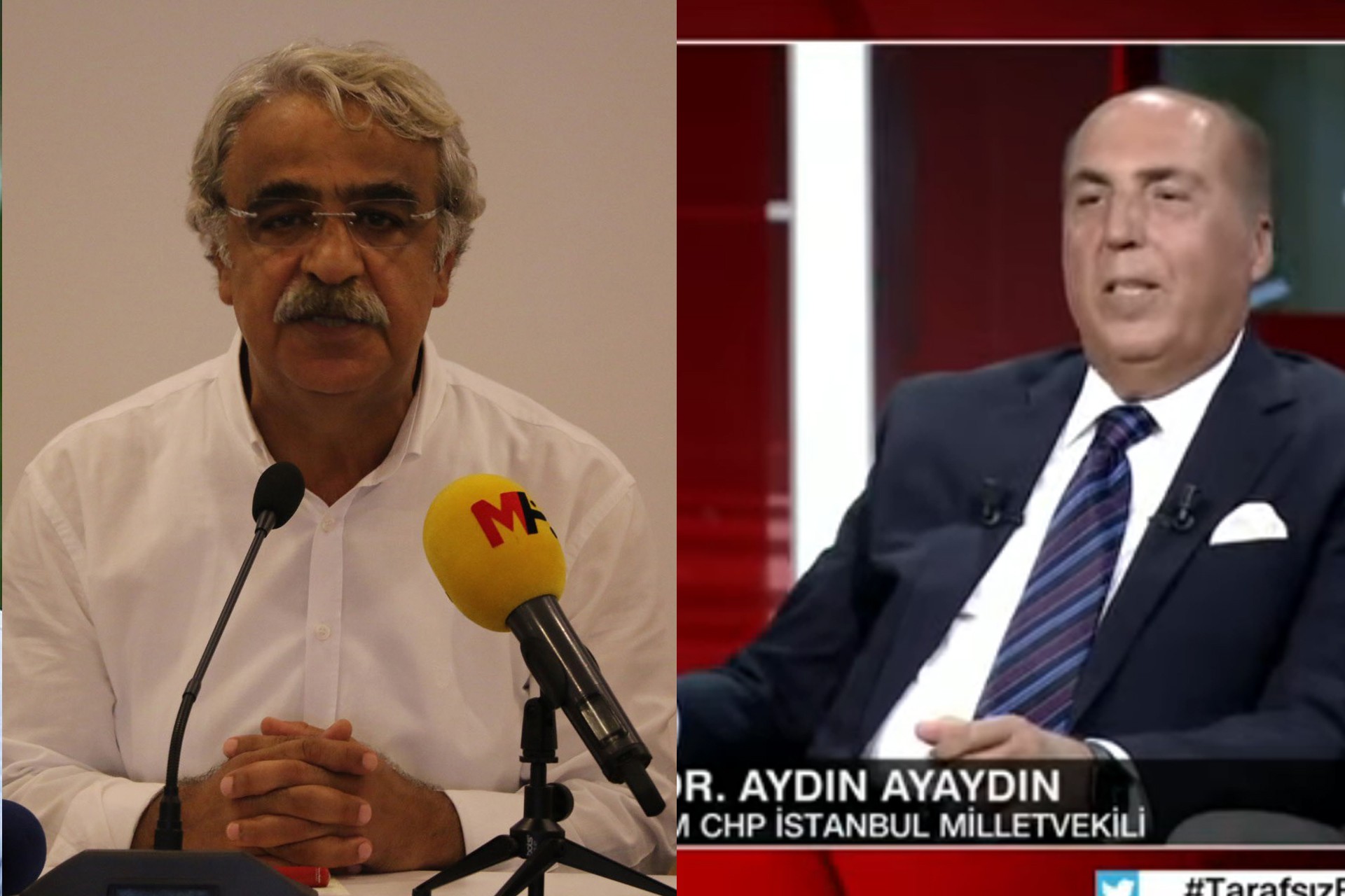 Mithat Sancar ve Aydın Ayaydın