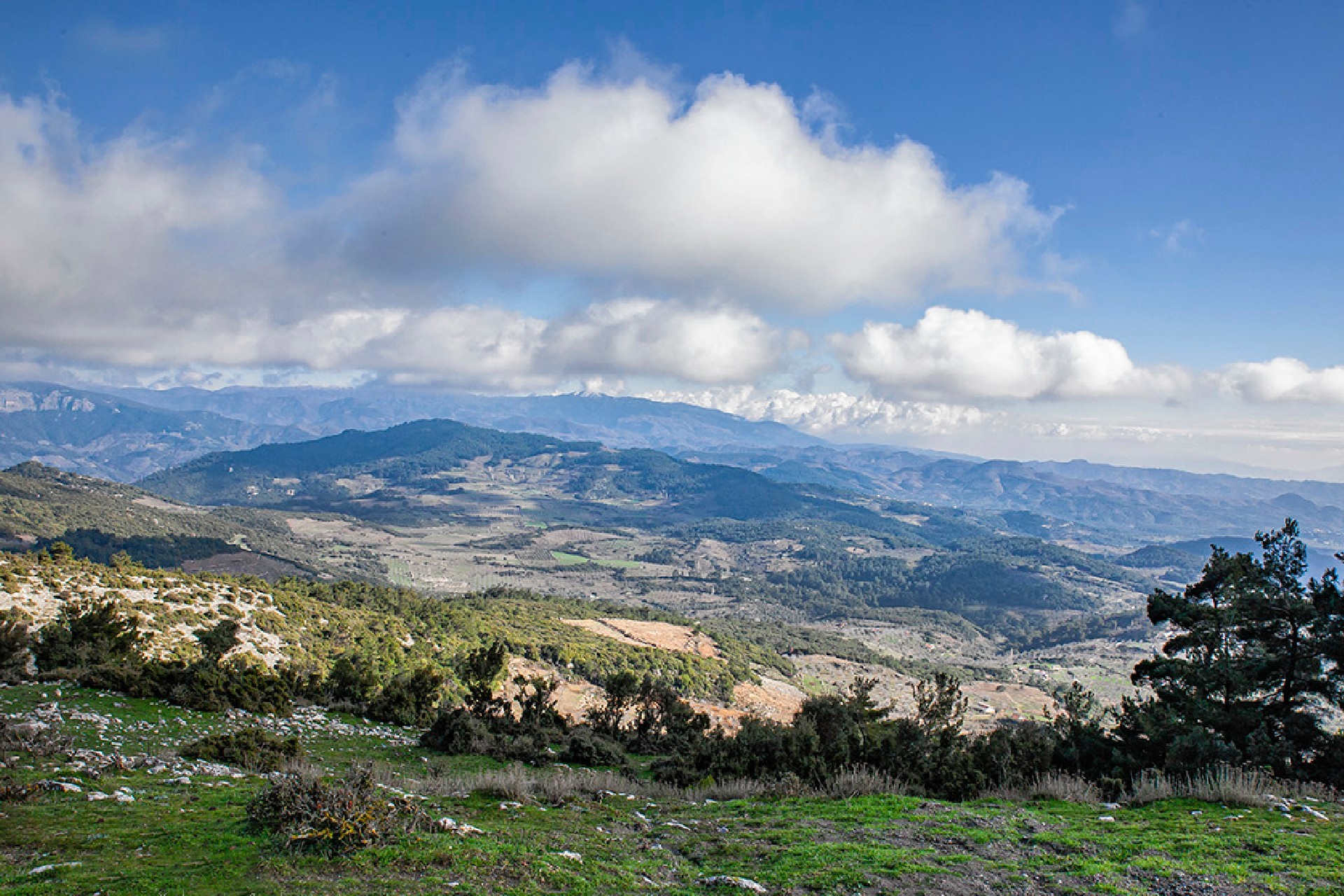 Kartal Dağı