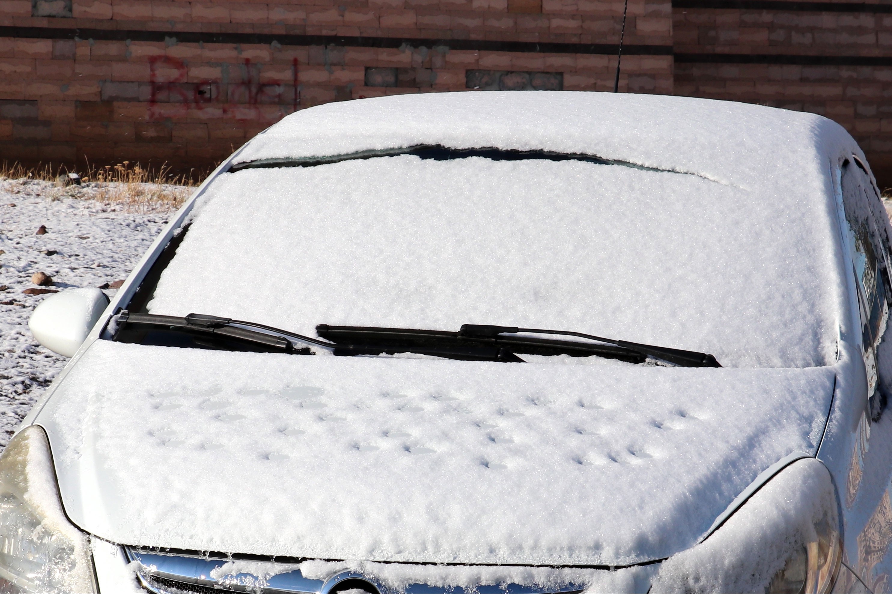 Erzurum'da kar