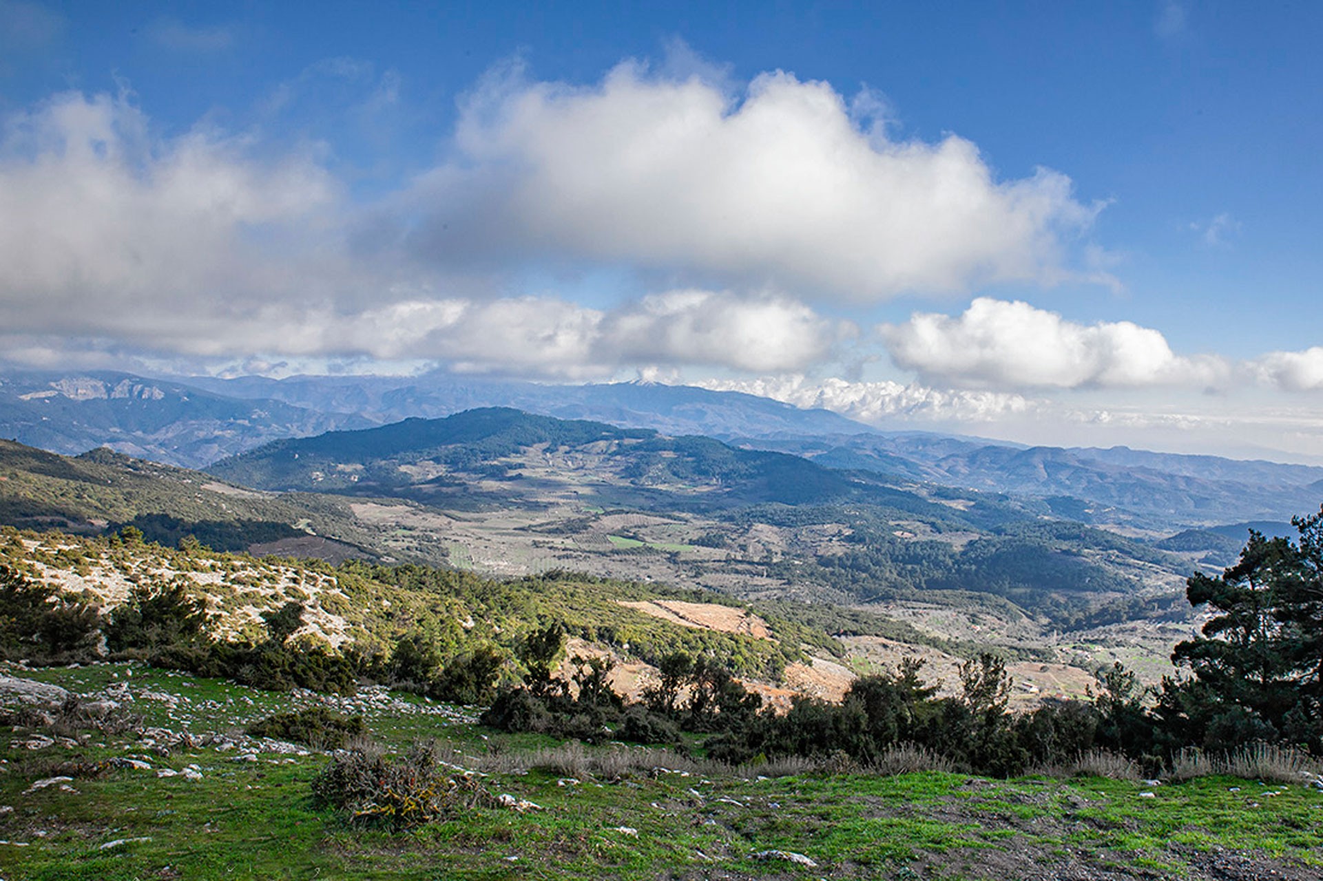 Kartal Dağı