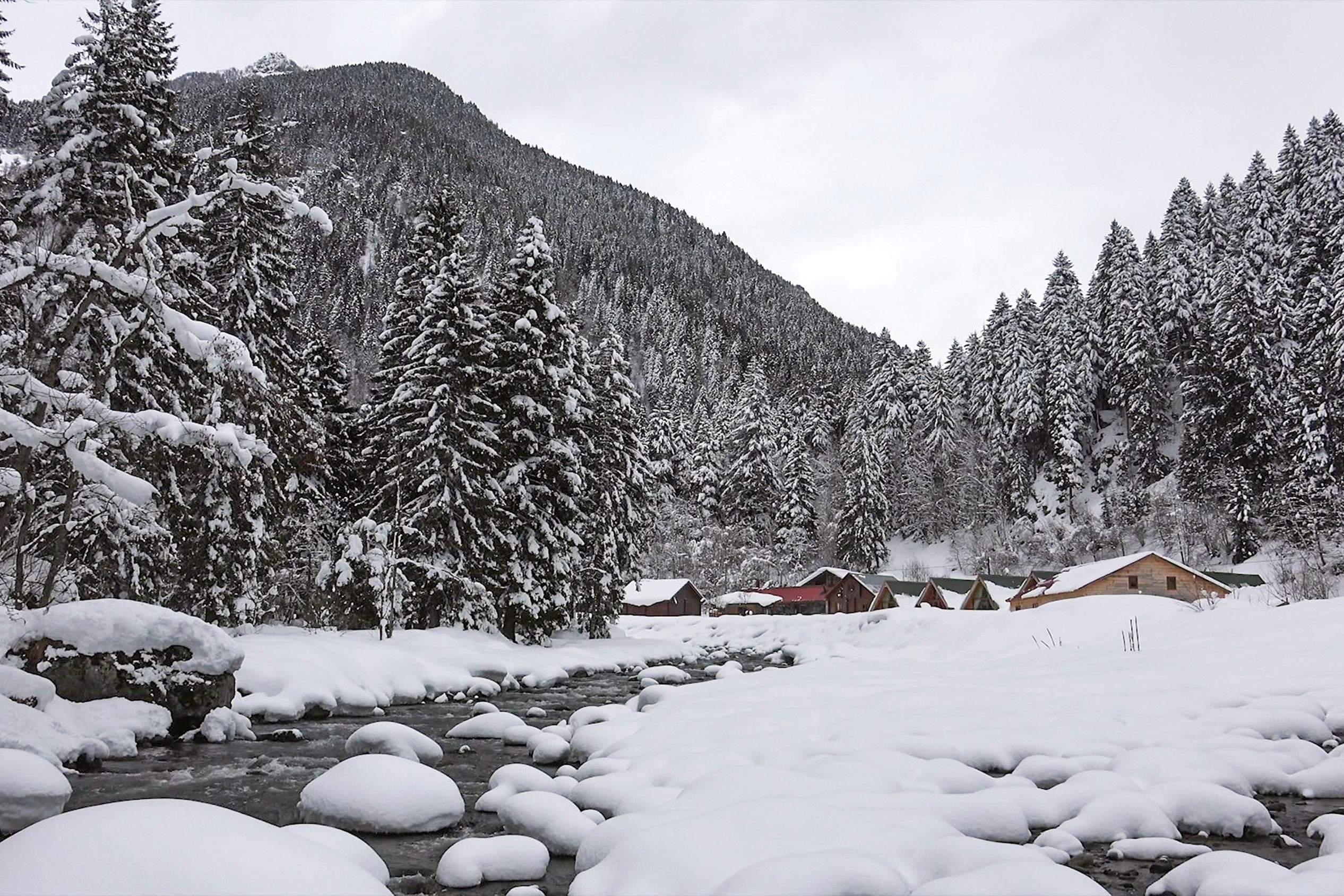 Kaçkar dağlarında bir yayla