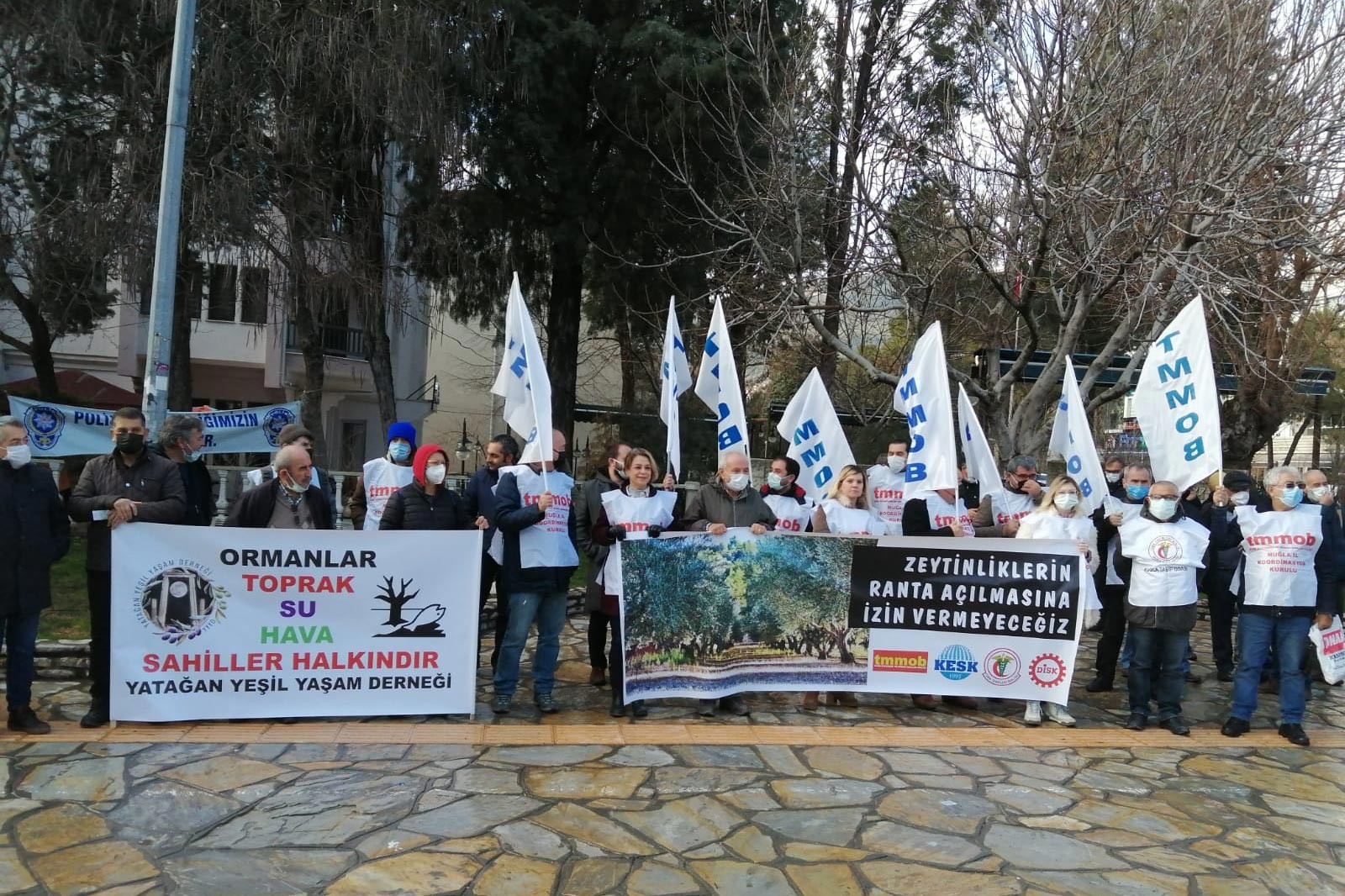 Muğla'da zeytin eylemi