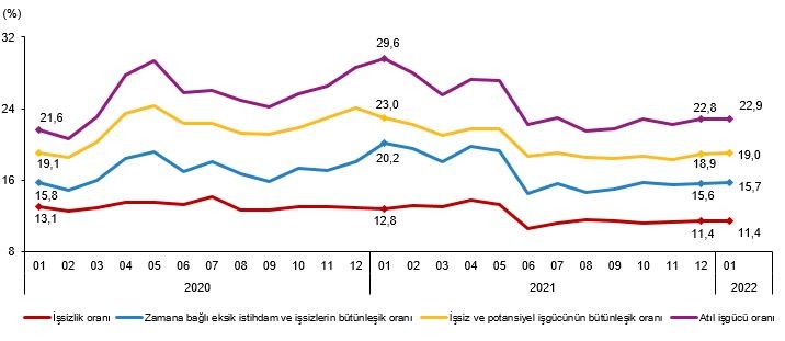 Mevsim etkisinden arındırılmış işgücüne ilişkin tamamlayıcı göstergeler, Ocak 2020-Ocak 2022