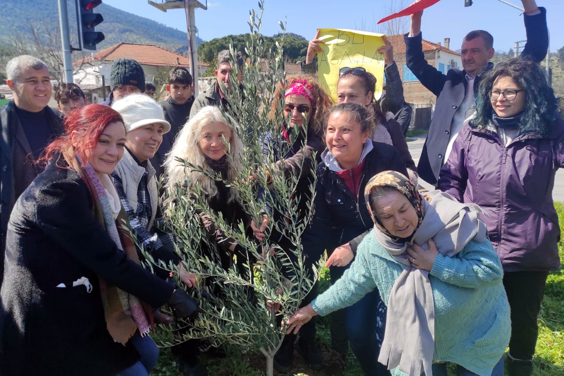 Bafa'da zeytin yasasını protesto amacıyla zeytin fidanı dikilmesi esnasında çekilen bir fotoğraf.