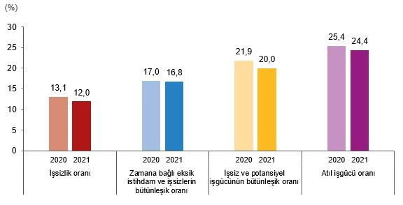 İşgücüne ilişkin tamamlayıcı göstergeler, 2020, 2021