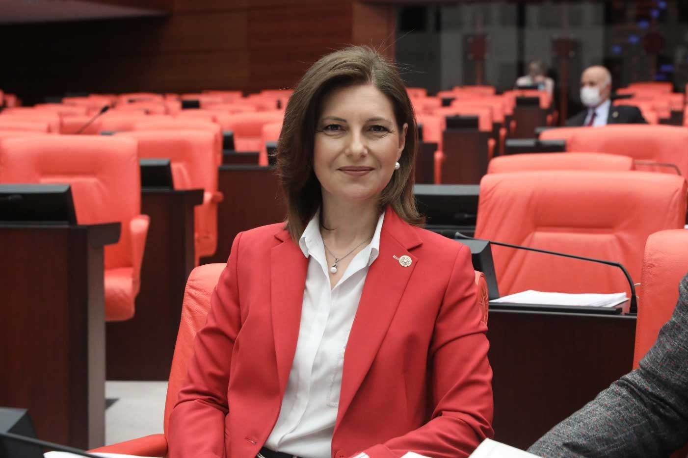 CHP İstanbul Milletvekili Emine Gülizar Emecan