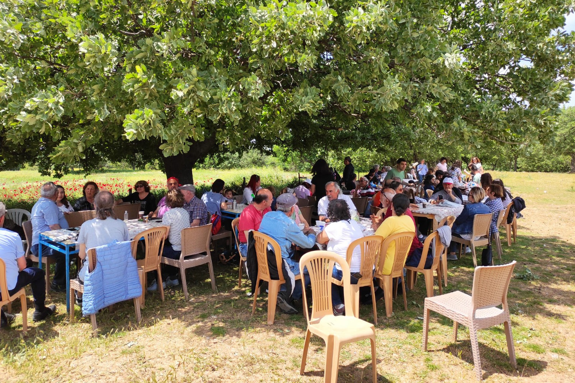 Çanakkale'de düzenlenen Evrensel Gazetesi ile dayanışma etkinliğinden bir fotoğraf.