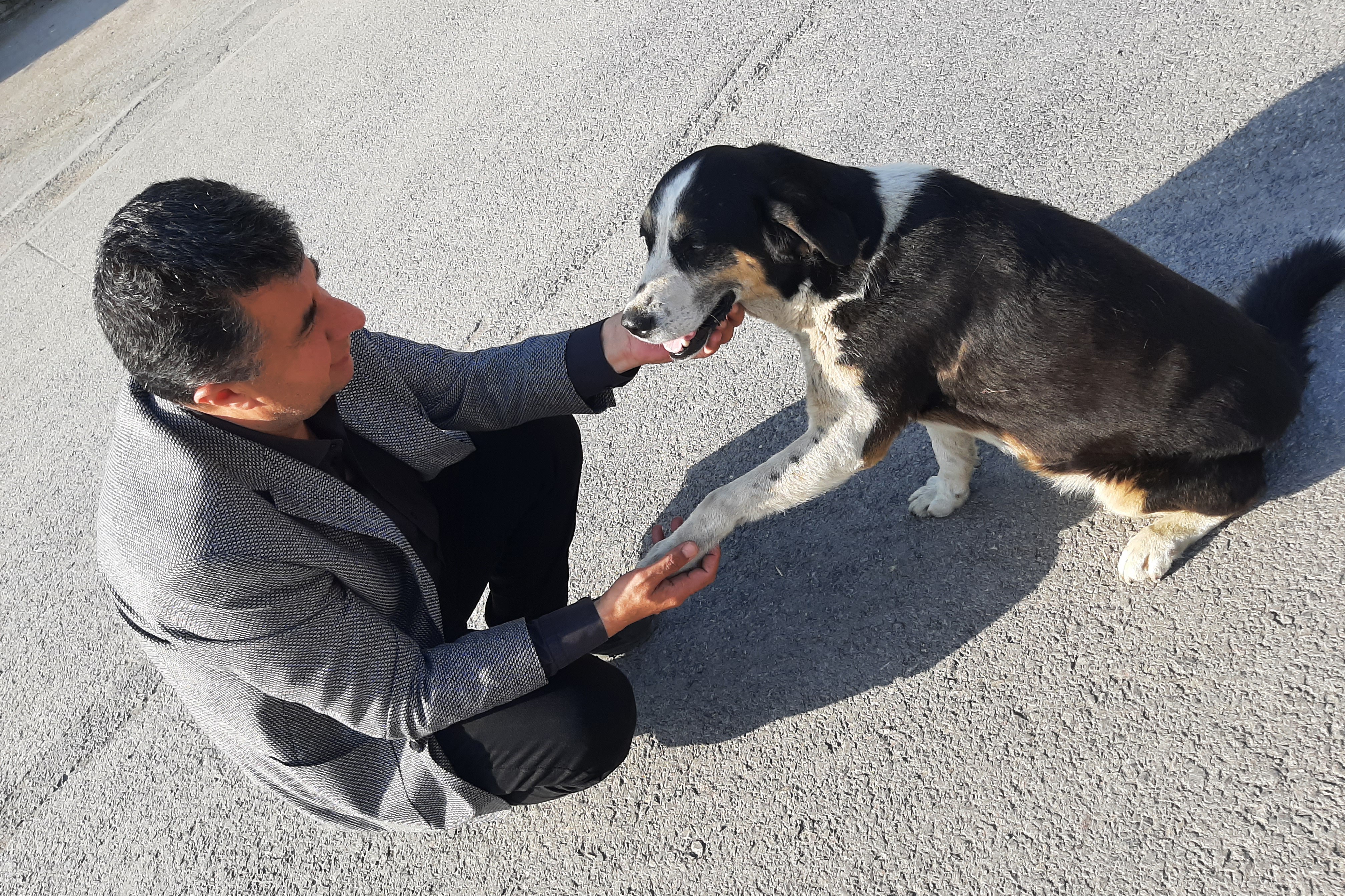 Necati Bozkurt sokak köpeğinin patisini tutmuş. 