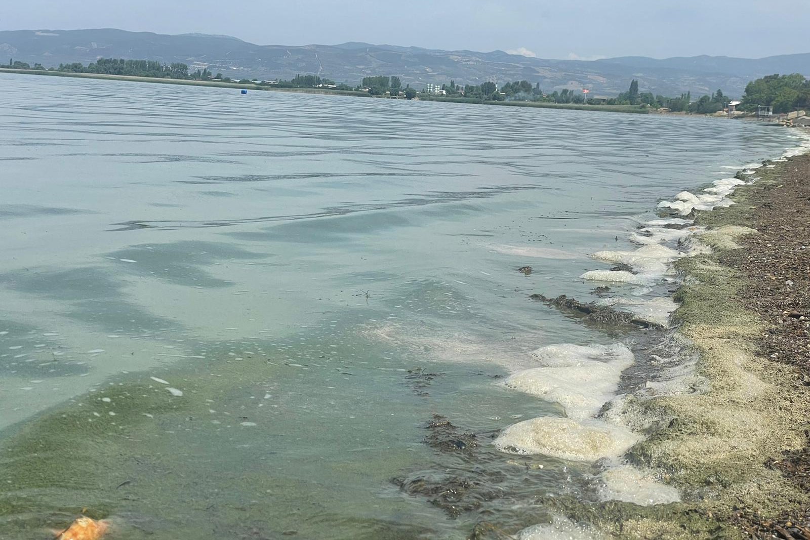 İznik Gölü'nde köpükler.